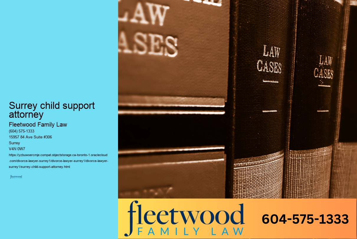 Surrey child support lawyer