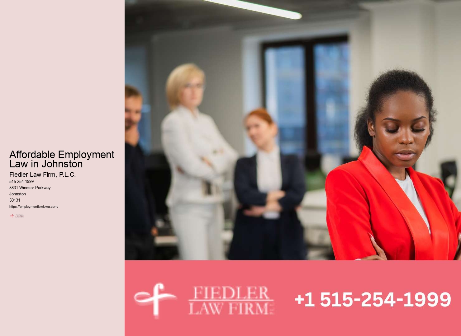 Leading Government Employment Lawyer in Johnston