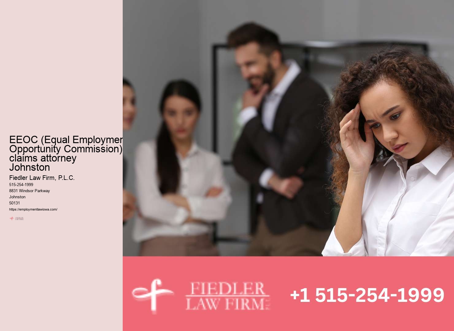 Johnston Employment Law Consultation Expert Advisory