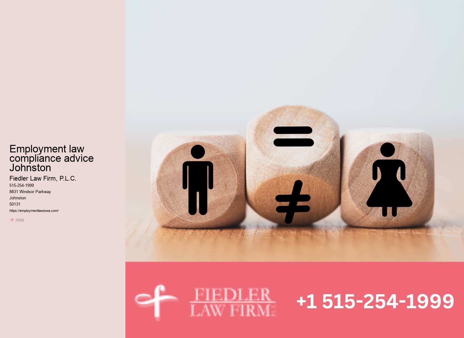 Johnston Employment Law Consultation Assistance