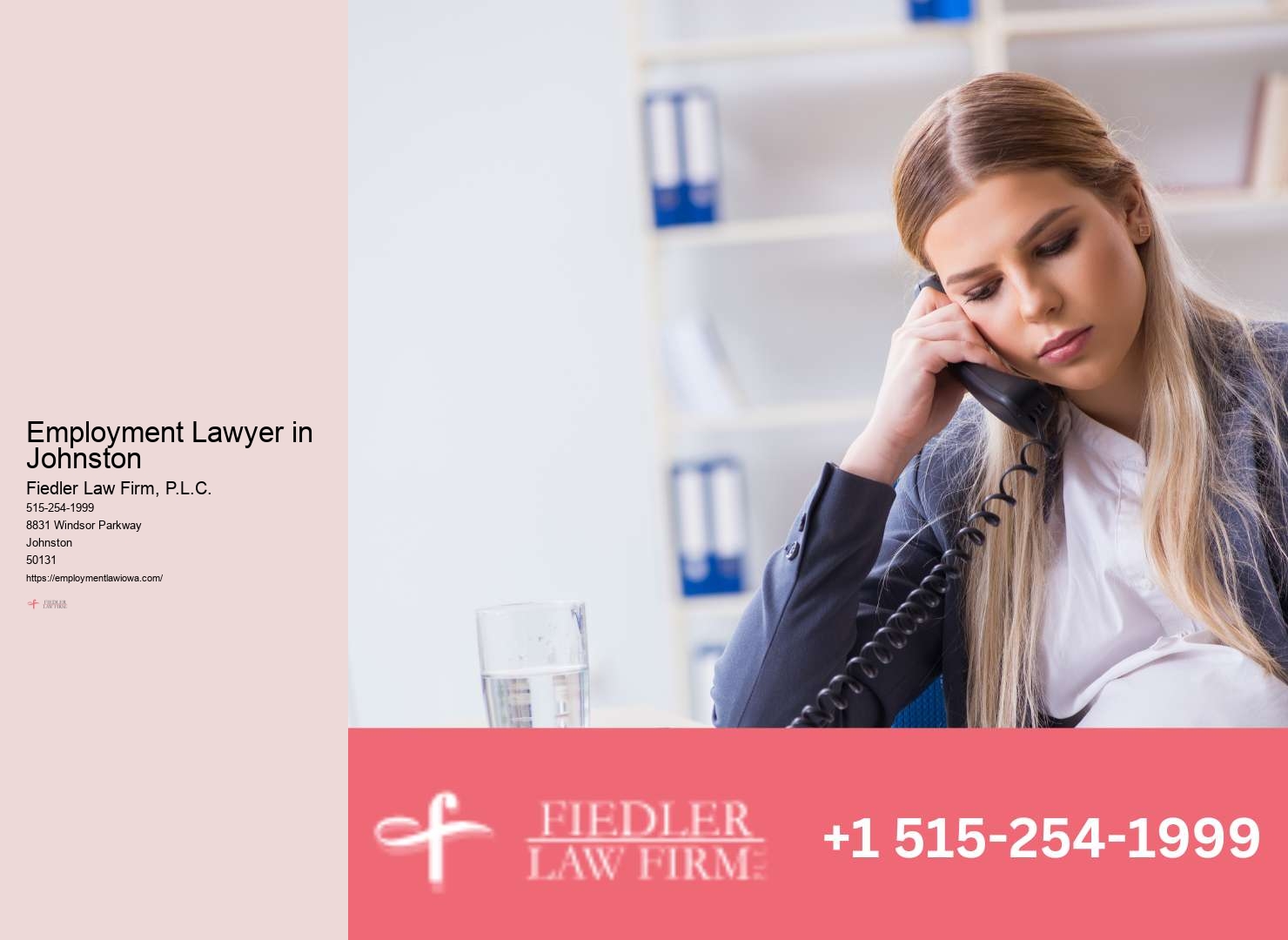 Johnston Employment Law Consultation Firm Expertise