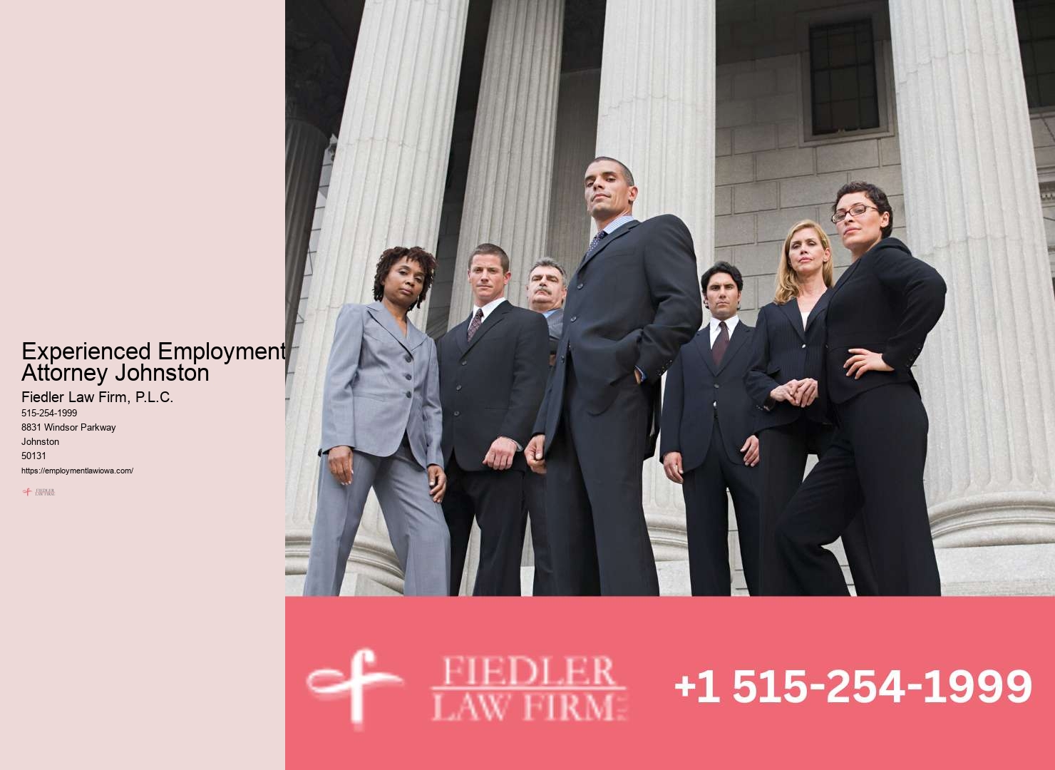 Johnston Employment Law Consultation Expertise