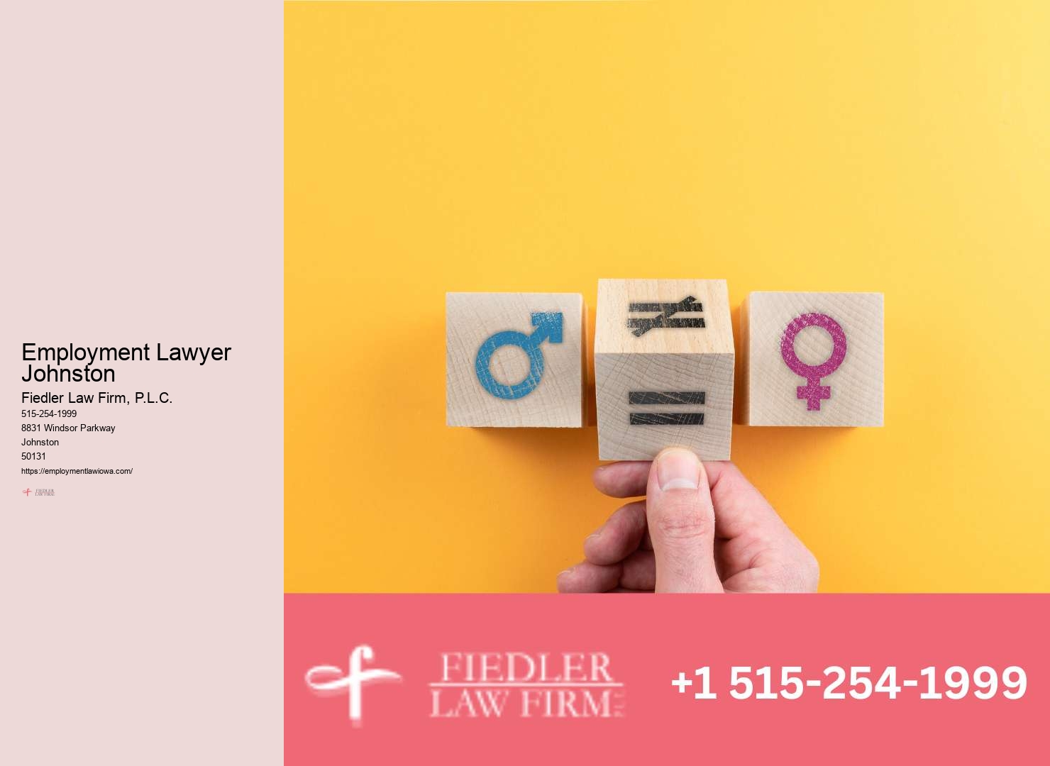 Johnston Employment Law Representation Expertise