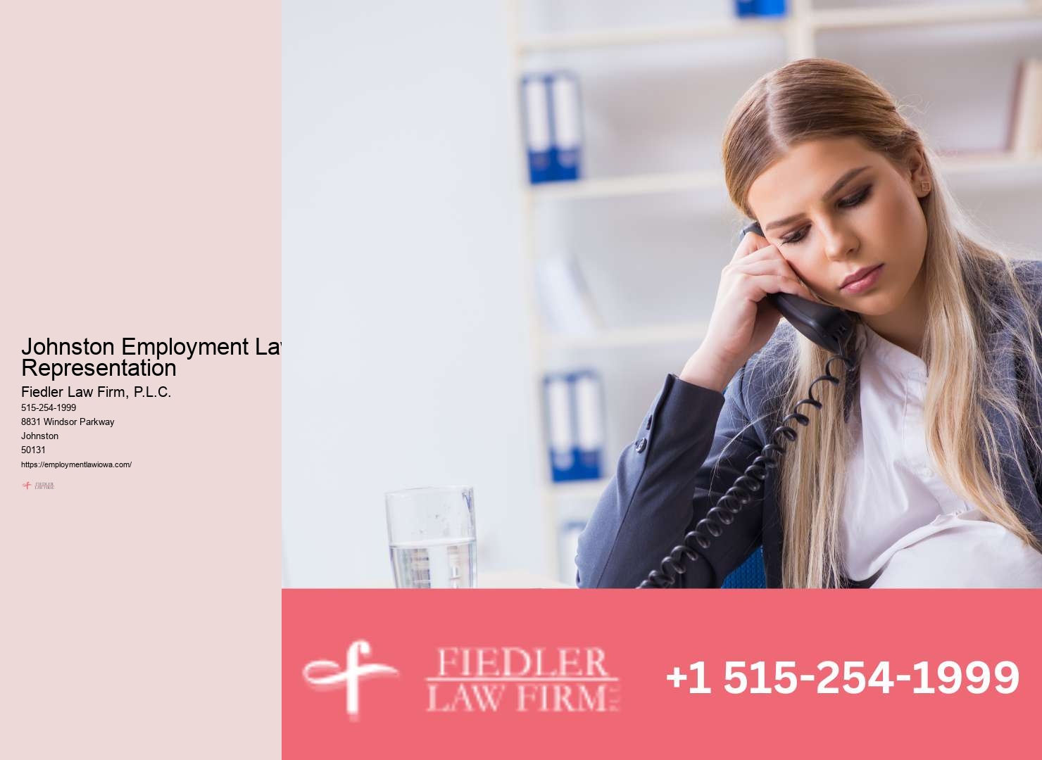 Johnston employment litigation attorney