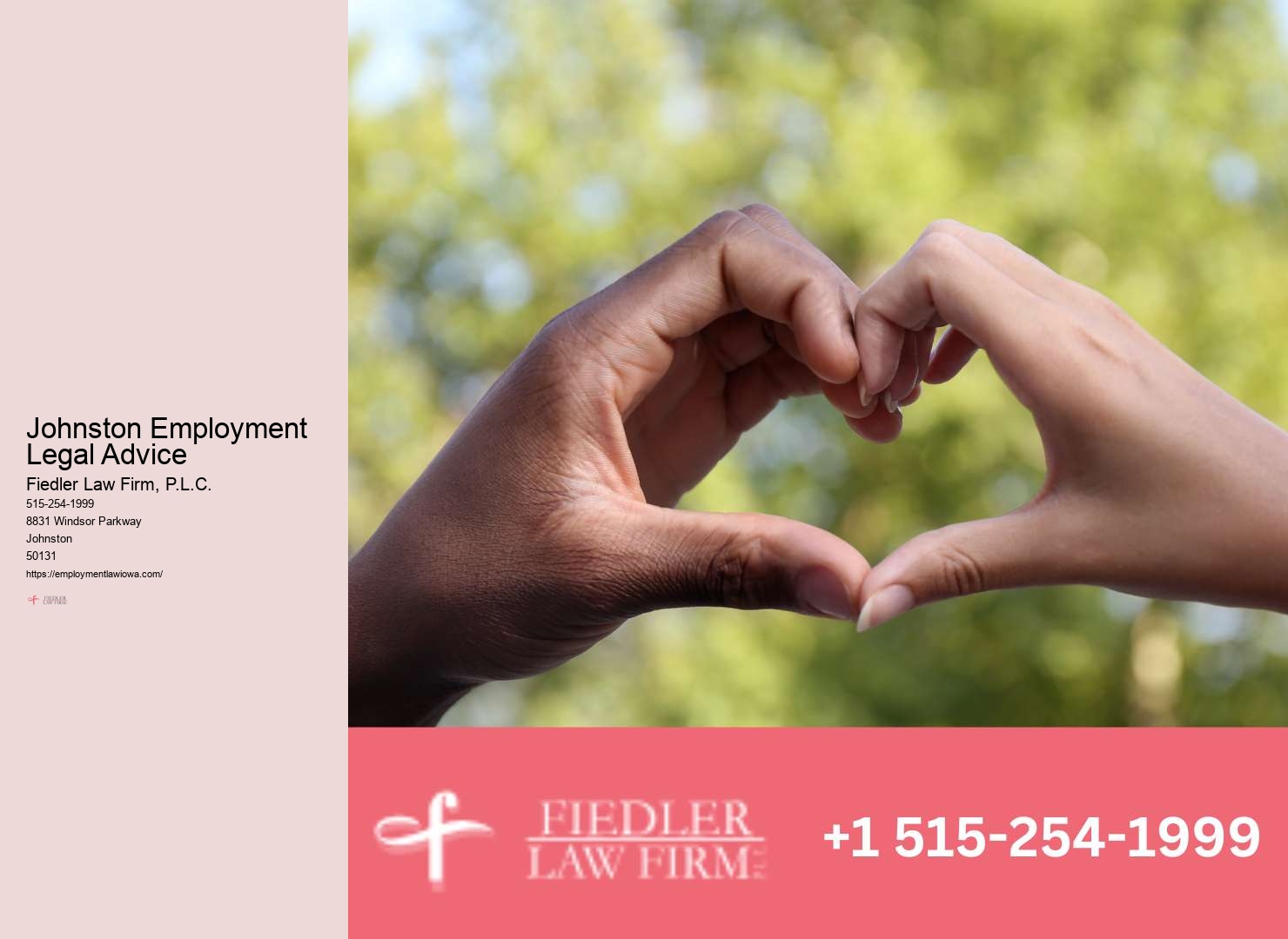 Johnston Employment Law Consultation Experts