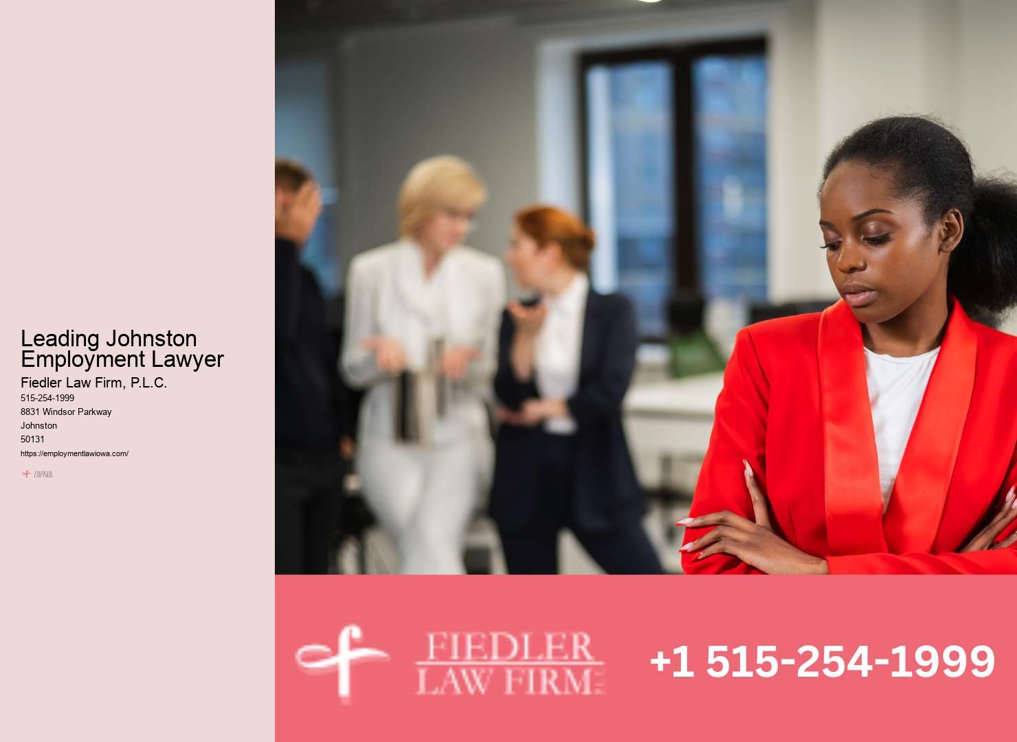 Employment law consultation Johnston