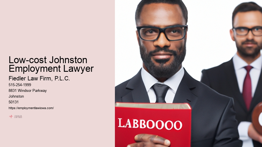 Low-cost Johnston Employment Lawyer