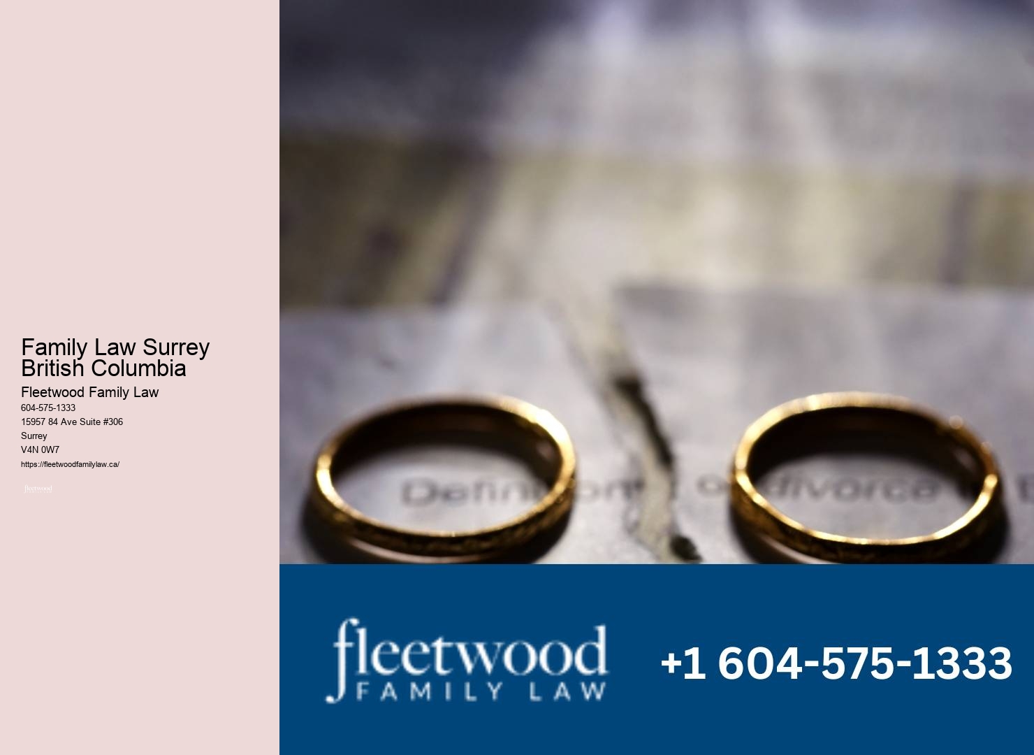 Family lawyer cost-saving approaches