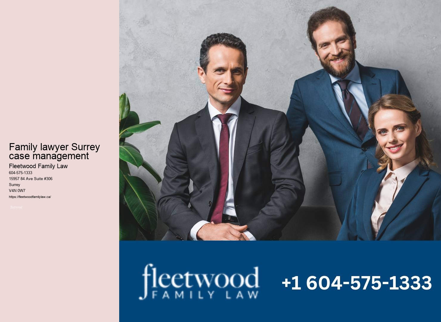 Family lawyer expenditure planning