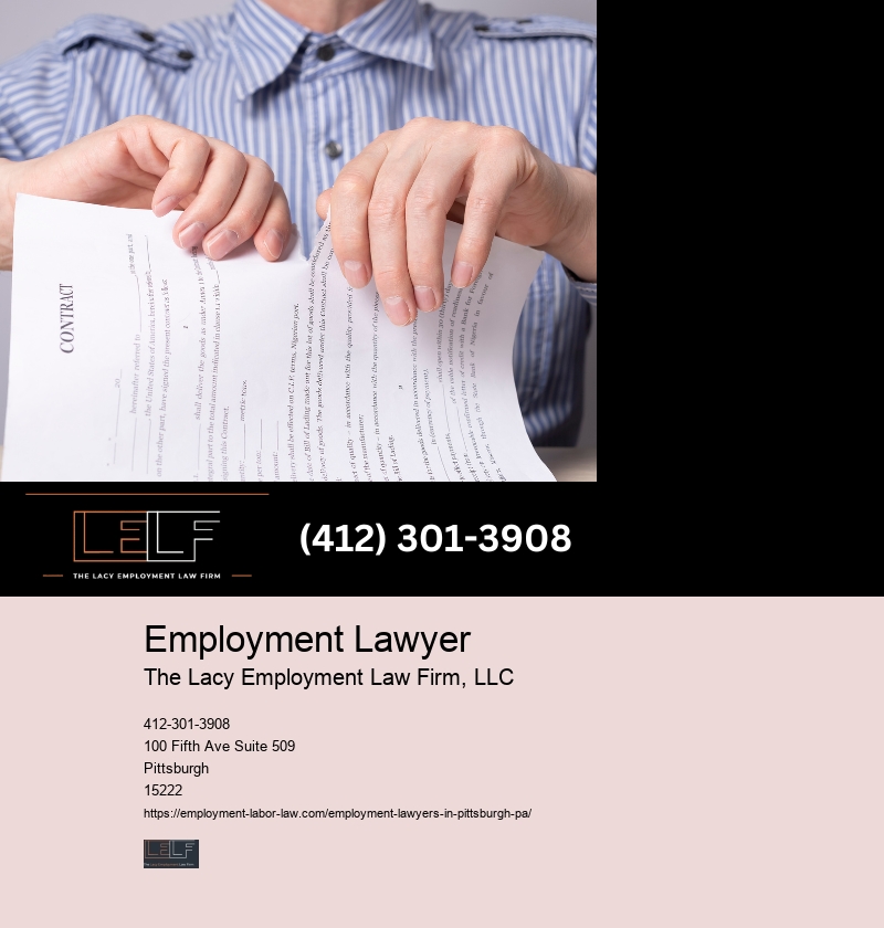Employment Law Attorney In Western Pa