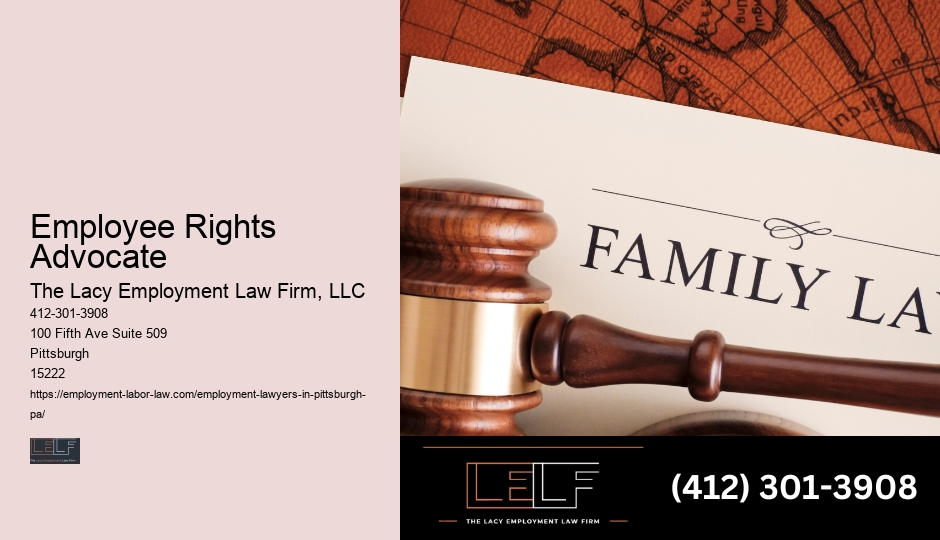 Professional Employment Law Assistance