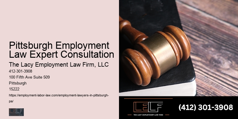 Pittsburgh Employment Law Expert Consultation