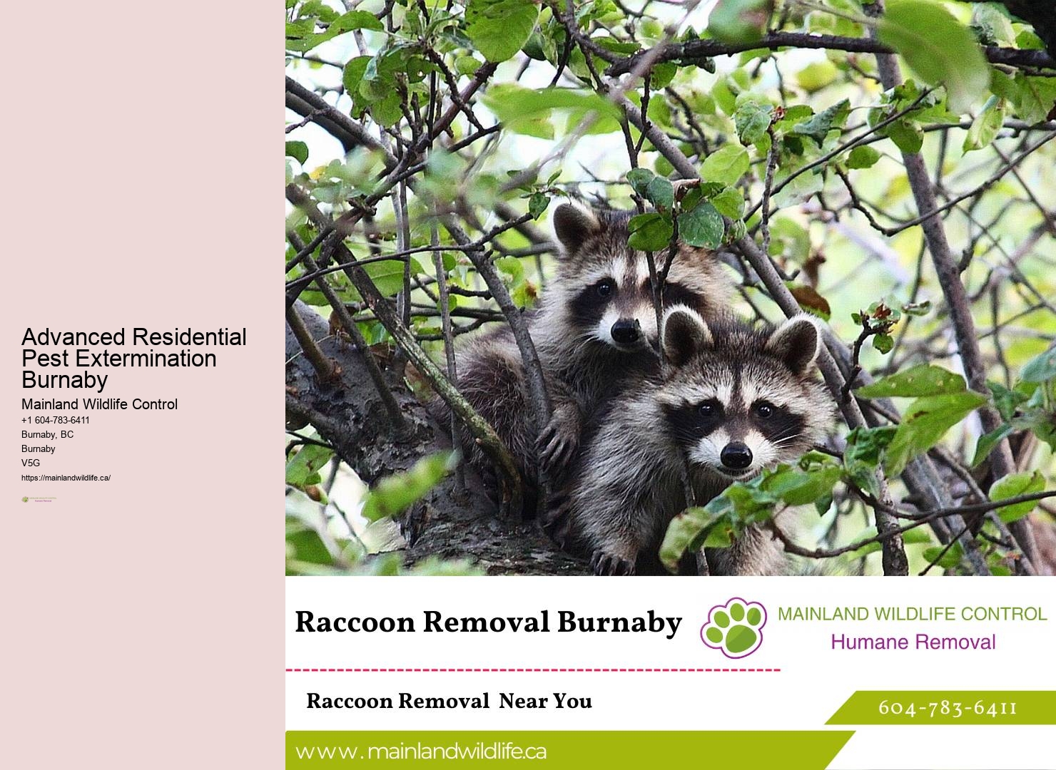 Targeted Pest Eradication Burnaby