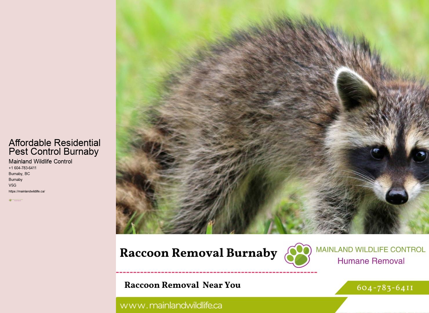 Residential Pest Control Solutions Burnaby