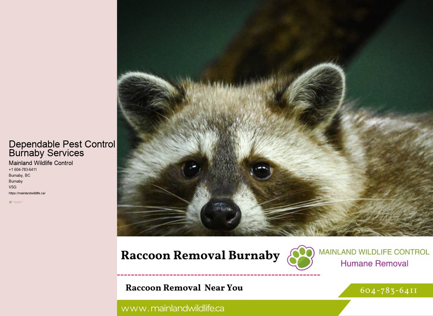 Insured Pest Control Services Burnaby