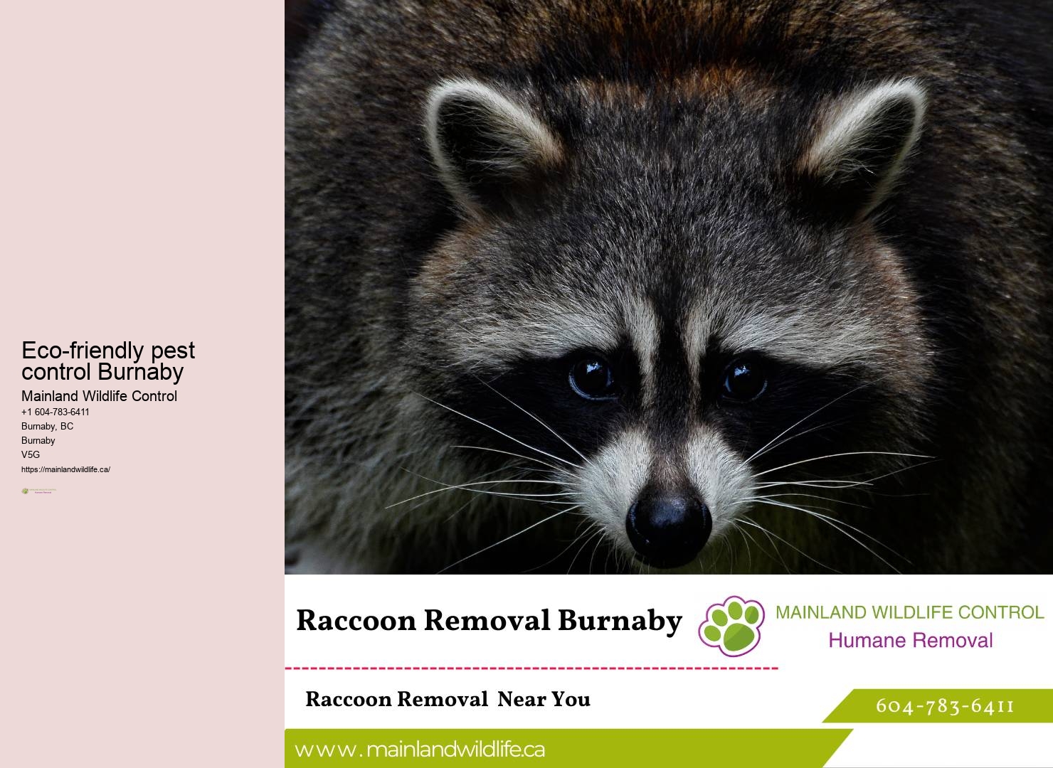 Eco-friendly pest control Burnaby