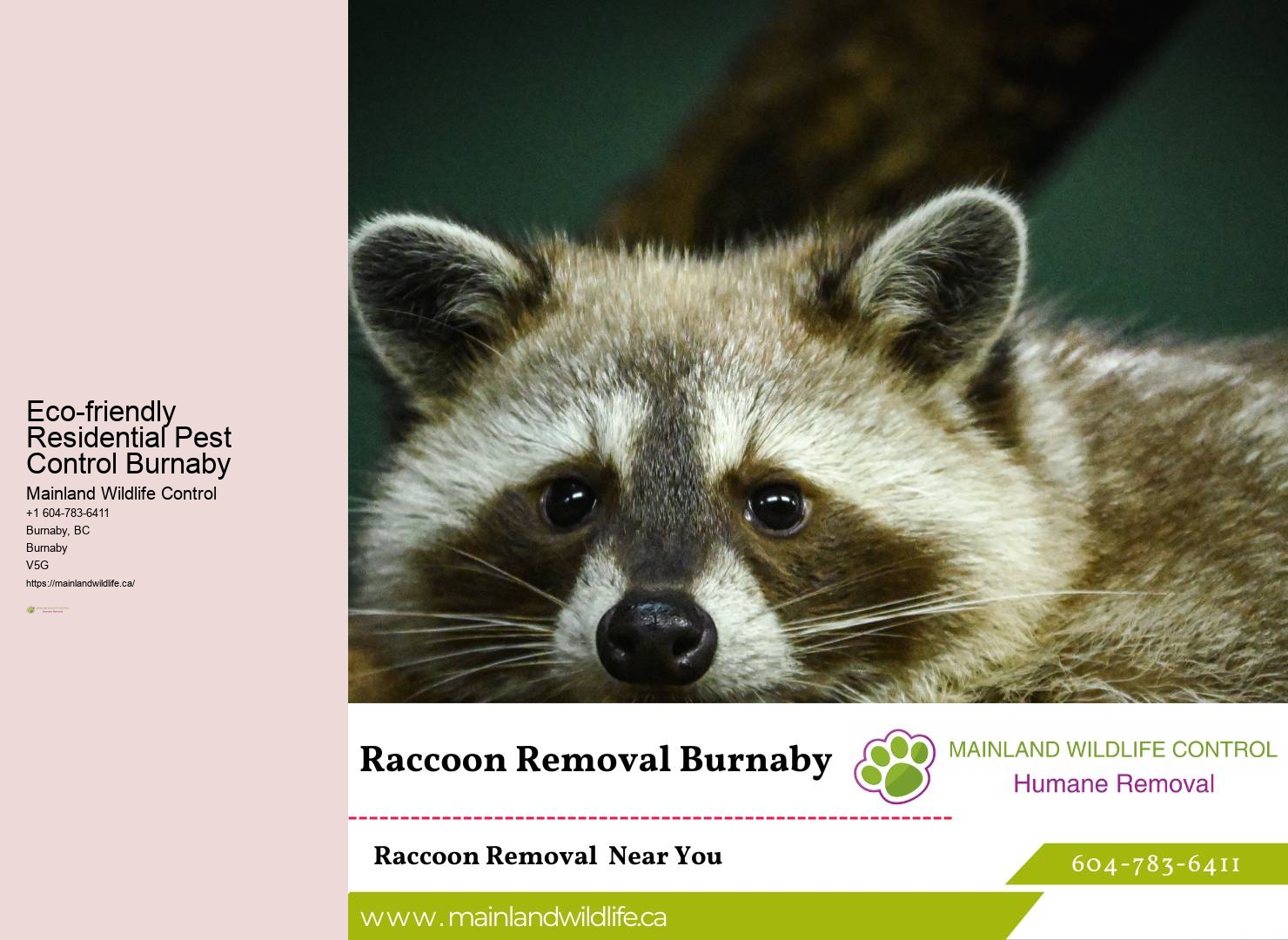 Trusted Eco-friendly Pest Prevention Burnaby