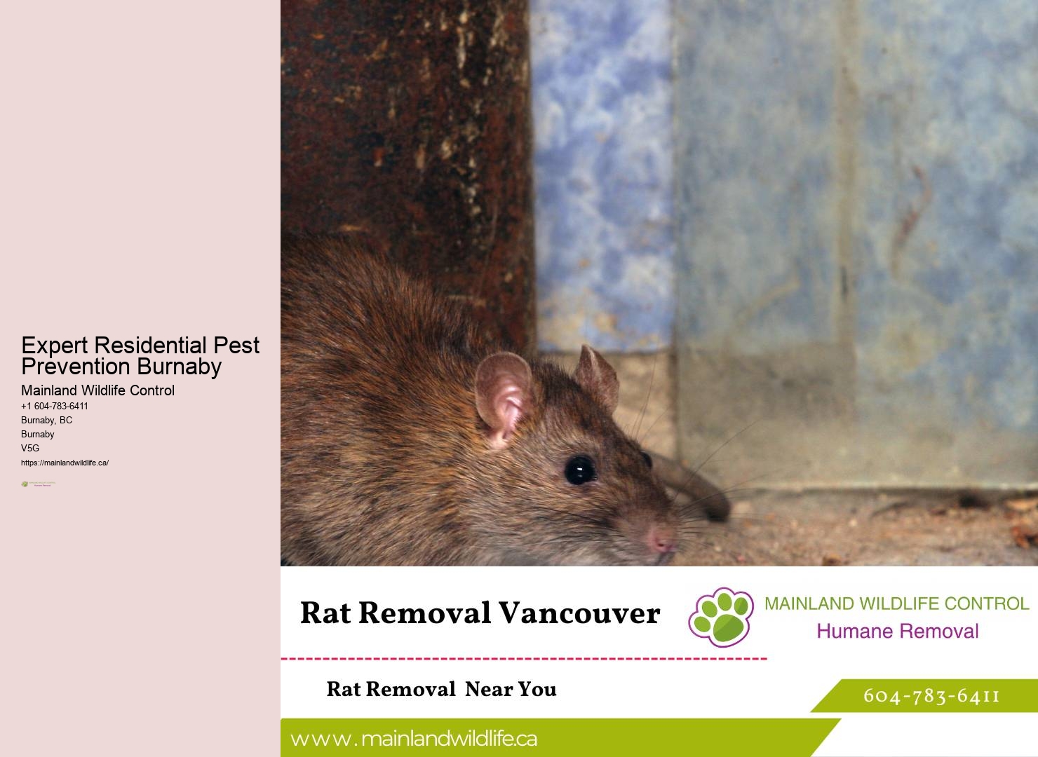 Pest Control Burnaby Bc