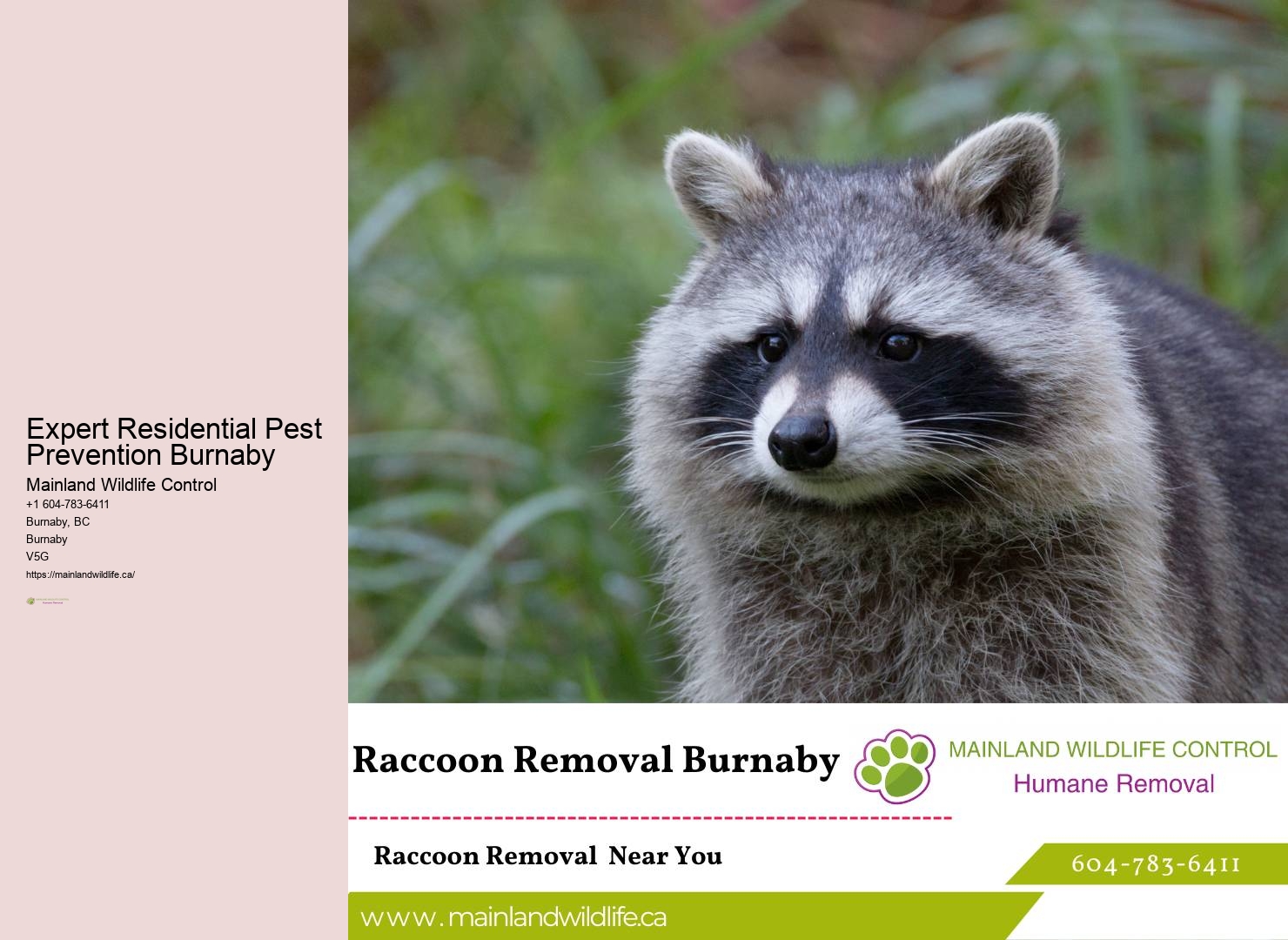 Earth-friendly Pest Control Burnaby