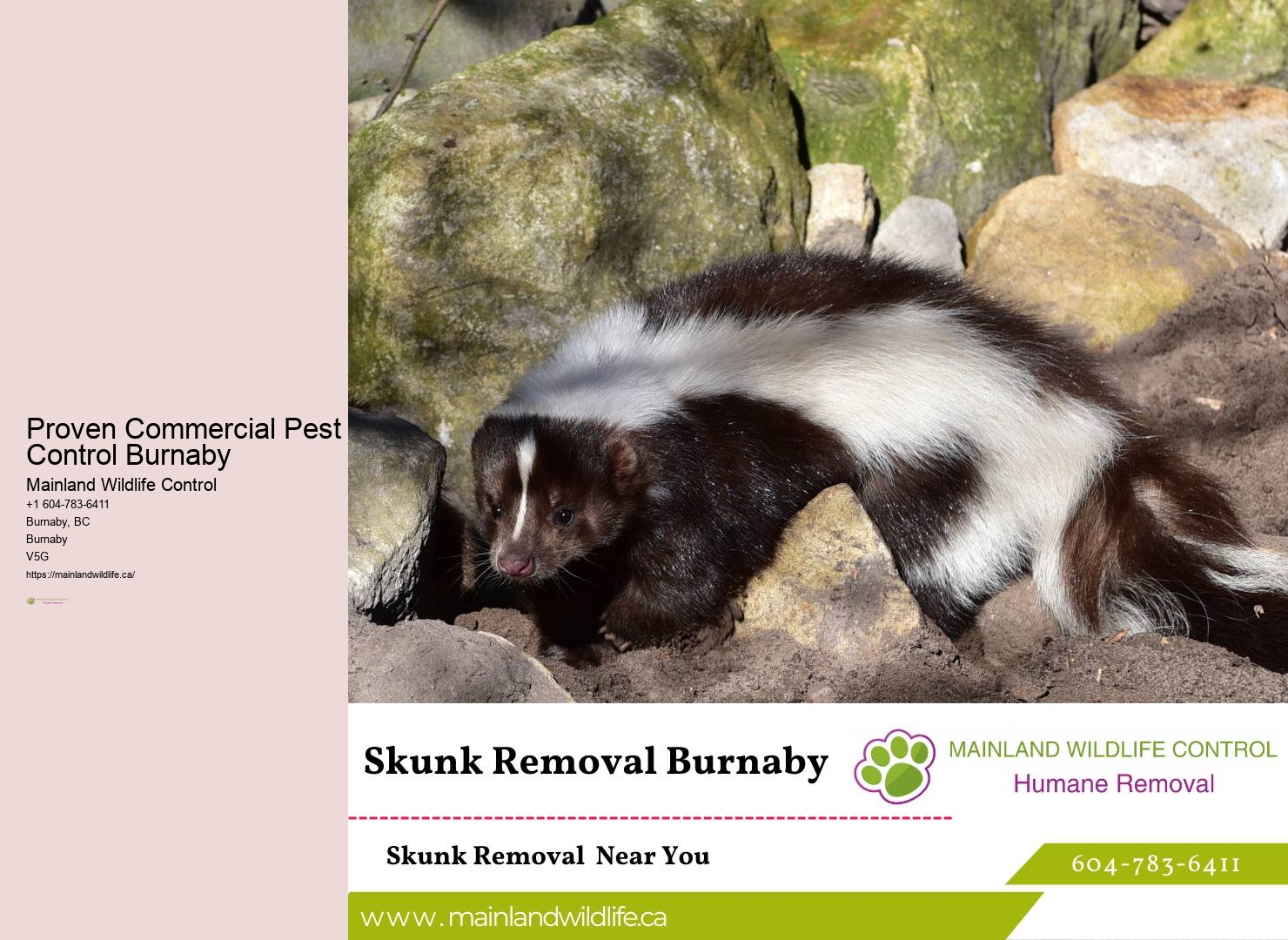 Proven Residential Pest Control Burnaby