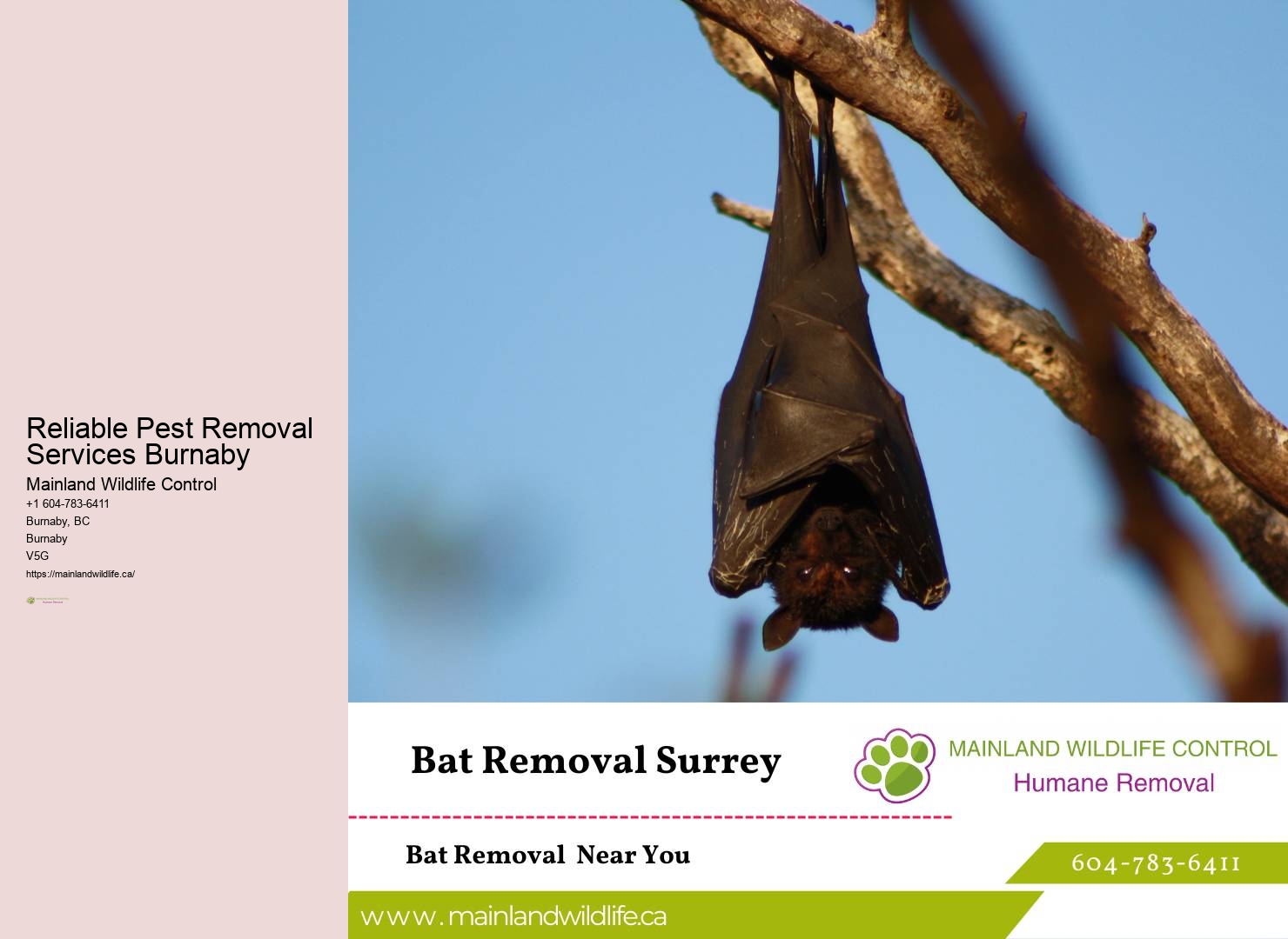 Holistic Pest Control Approaches Burnaby