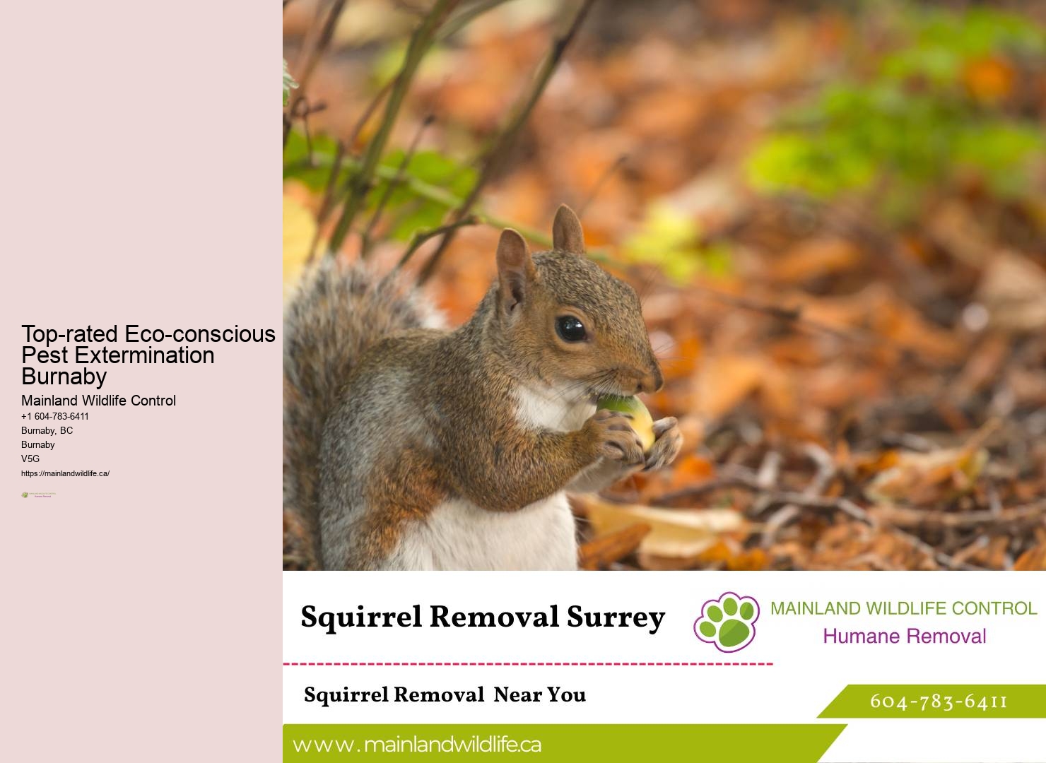 Integrated pest management Burnaby