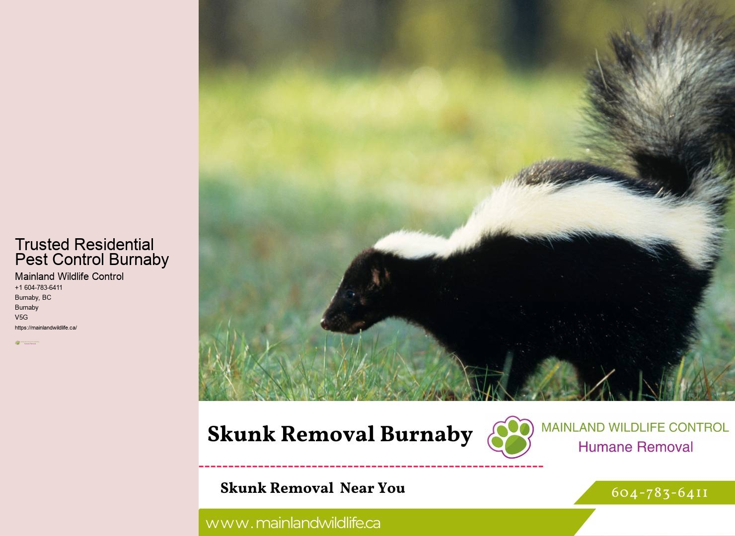 Top-rated Commercial Pest Extermination Burnaby